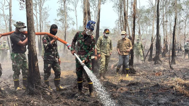 Tim gabungan berupaya melakukan pemadaman kebakaran hutan dan lahan yang terjadi di kawasan Taman Nasional Way Kambas, Kabupaten Lampung Timur, Provinsi Lampung, Sabtu (24/10).