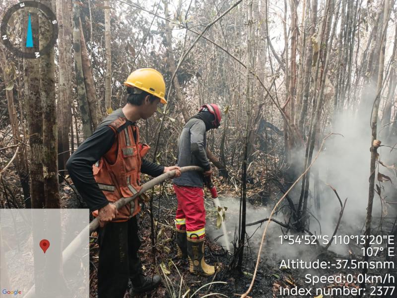 Pemadaman kebakaran hutan dan lahan di Kalimantan. (Foto: Humas BNPB)